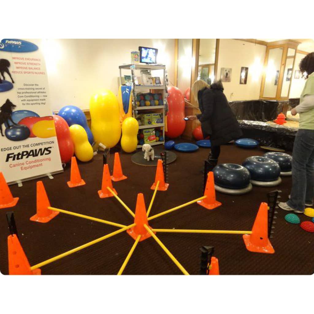 Fitpaws Sada Překážek