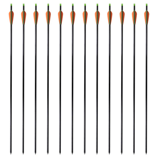 Standardní Šípy Ke Kladkovému Luku 30" 0,8 Cm Sklolaminát 12 Ks