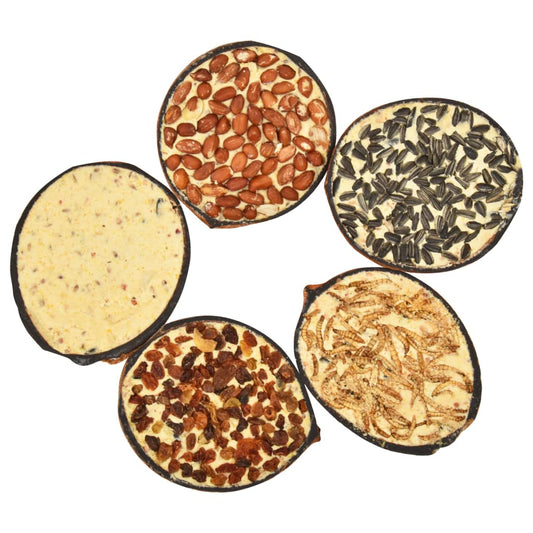 Kokosové Půlky Plněné Krmivem Pro Ptáky 10 Ks 290 G