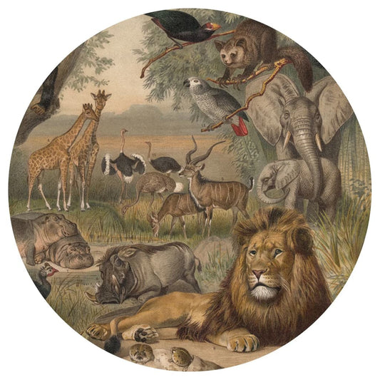 Wallart Kruhová Tapeta Animals Of Africa 142,5 Cm