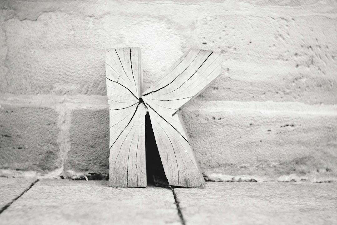 Různé typy stanů a jak je vybrat Váš průvodce FIONSHOP