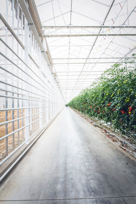 Různé typy skleníků a jejich výhody