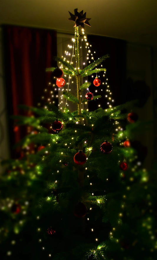 Jak pečovat o vánoční stromek, aby vydržel co nejdéle