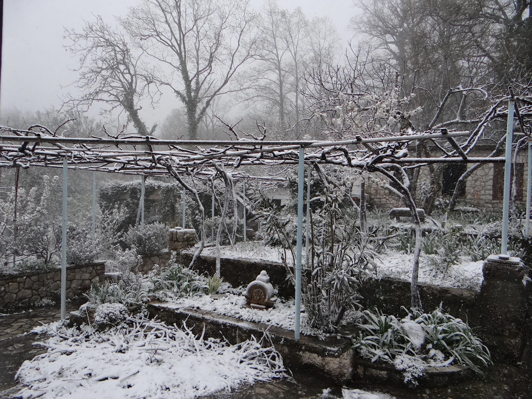 Jak udržet zahradu v čistotě přes zimní měsíce