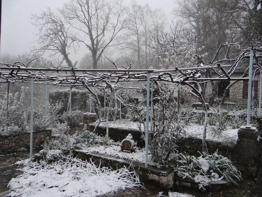 Jak udržet zahradu v čistotě přes zimní měsíce