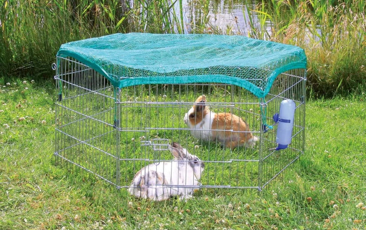 Potřeby pro domácí mazlíčky