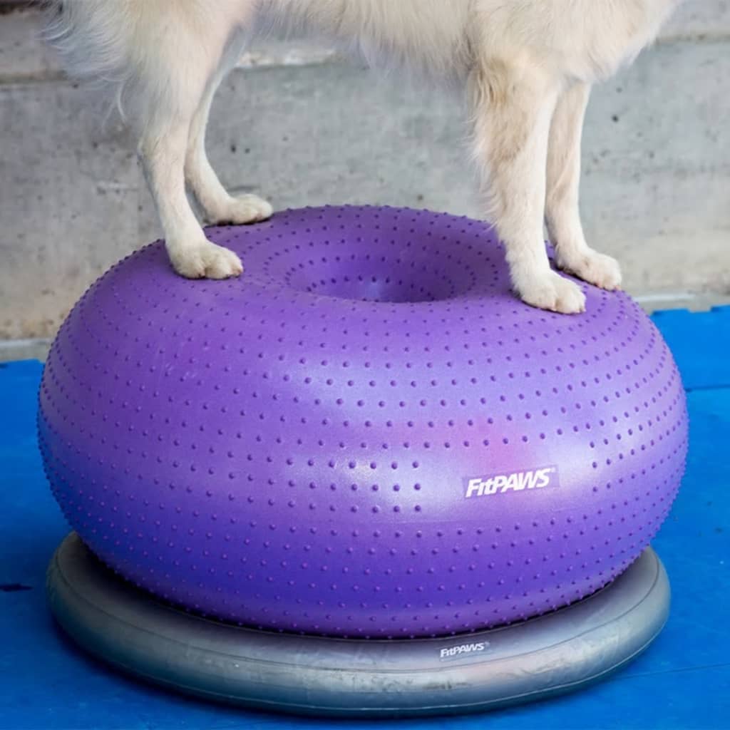 Fitpaws Balanční Míč Pro Domácí Mazlíčky Trax Donut 55 Cm Fialový