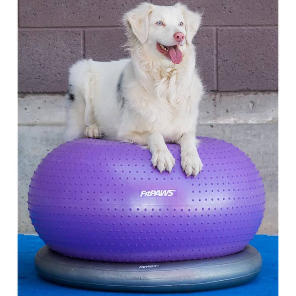 Fitpaws Balanční Míč Pro Domácí Mazlíčky Trax Donut 55 Cm Fialový
