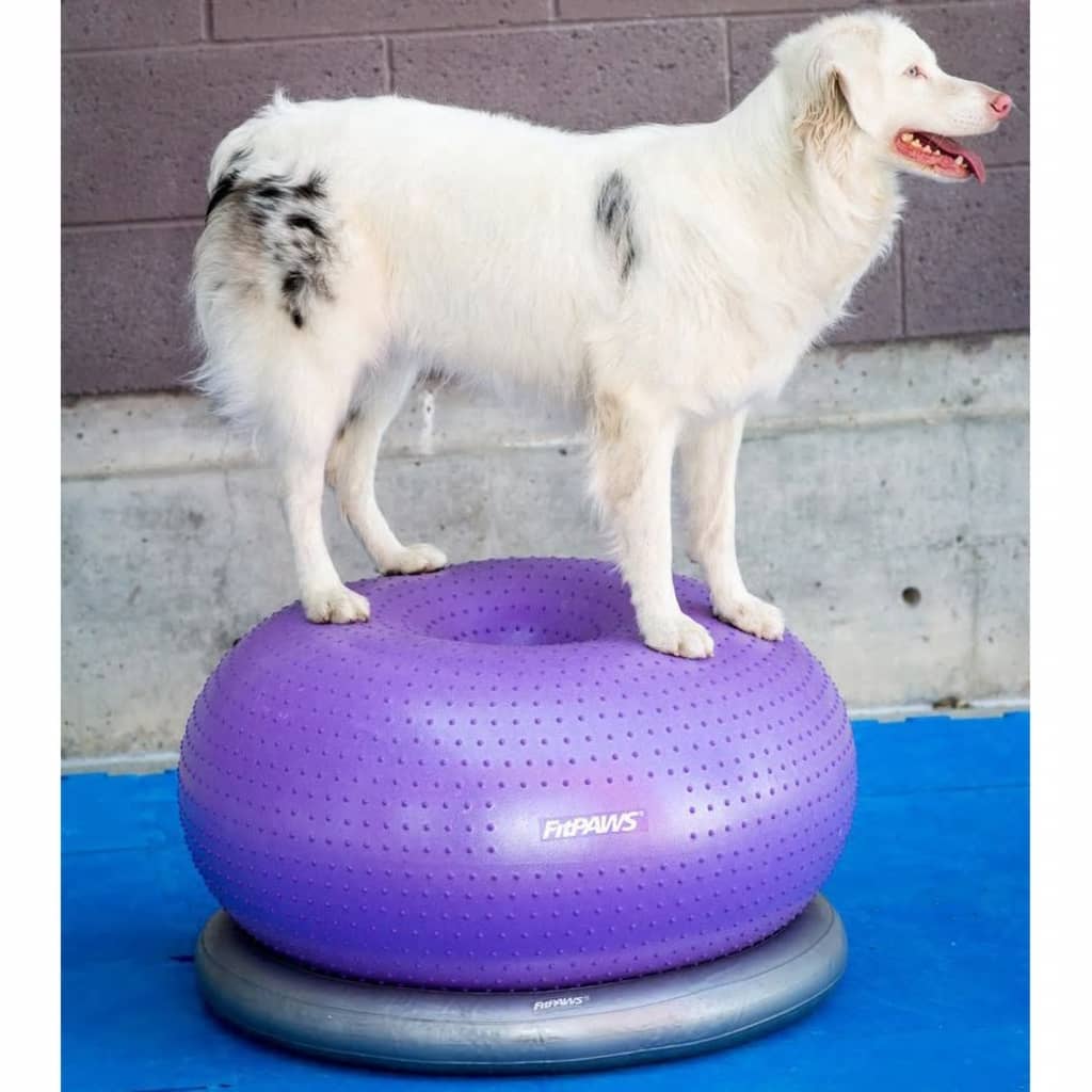 Fitpaws Balanční Míč Pro Domácí Mazlíčky Trax Donut 55 Cm Fialový