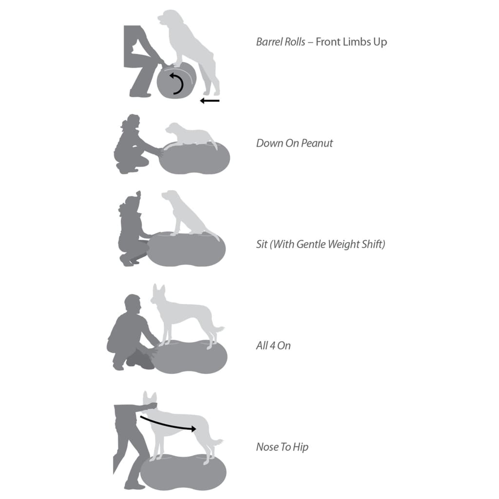 Fitpaws Balanční Plošina Pro Domácí Mazlíčky Trax Peanut Žlutá