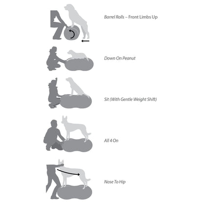 Fitpaws Balanční Plošina Pro Domácí Mazlíčky Trax Peanut Žlutá