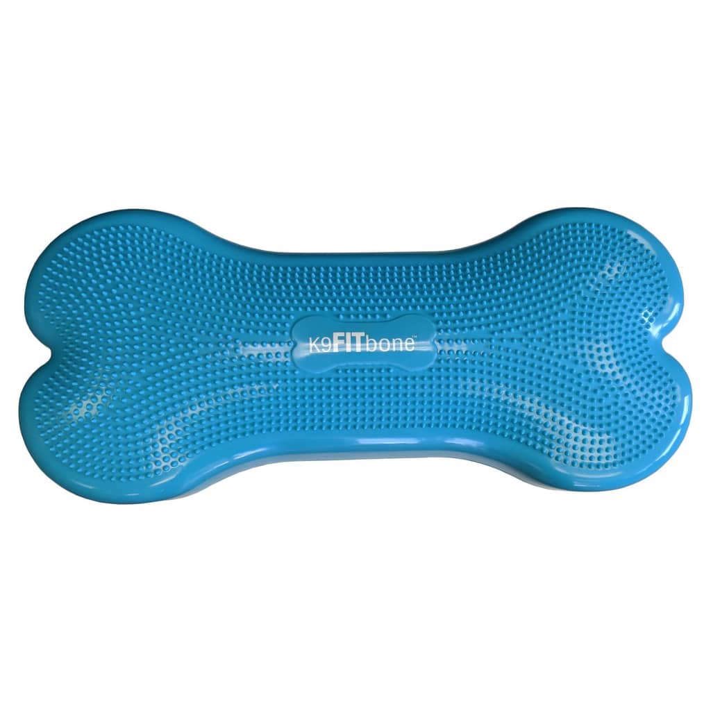 Fitpaws Balanční Platforma Pro Zvířata Giant K9Fitbone Pvc Aqua
