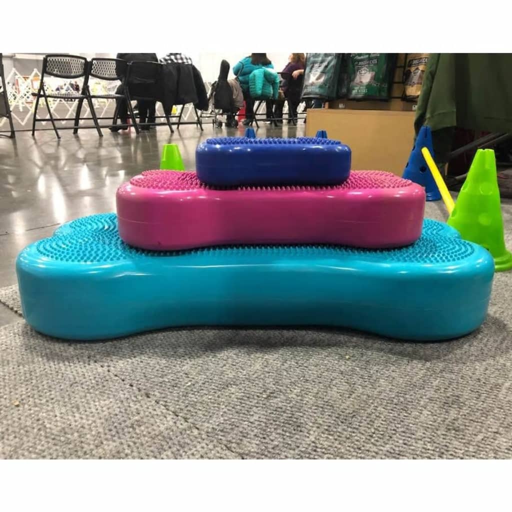 Fitpaws Balanční Platforma Pro Zvířata Giant K9Fitbone Pvc Aqua