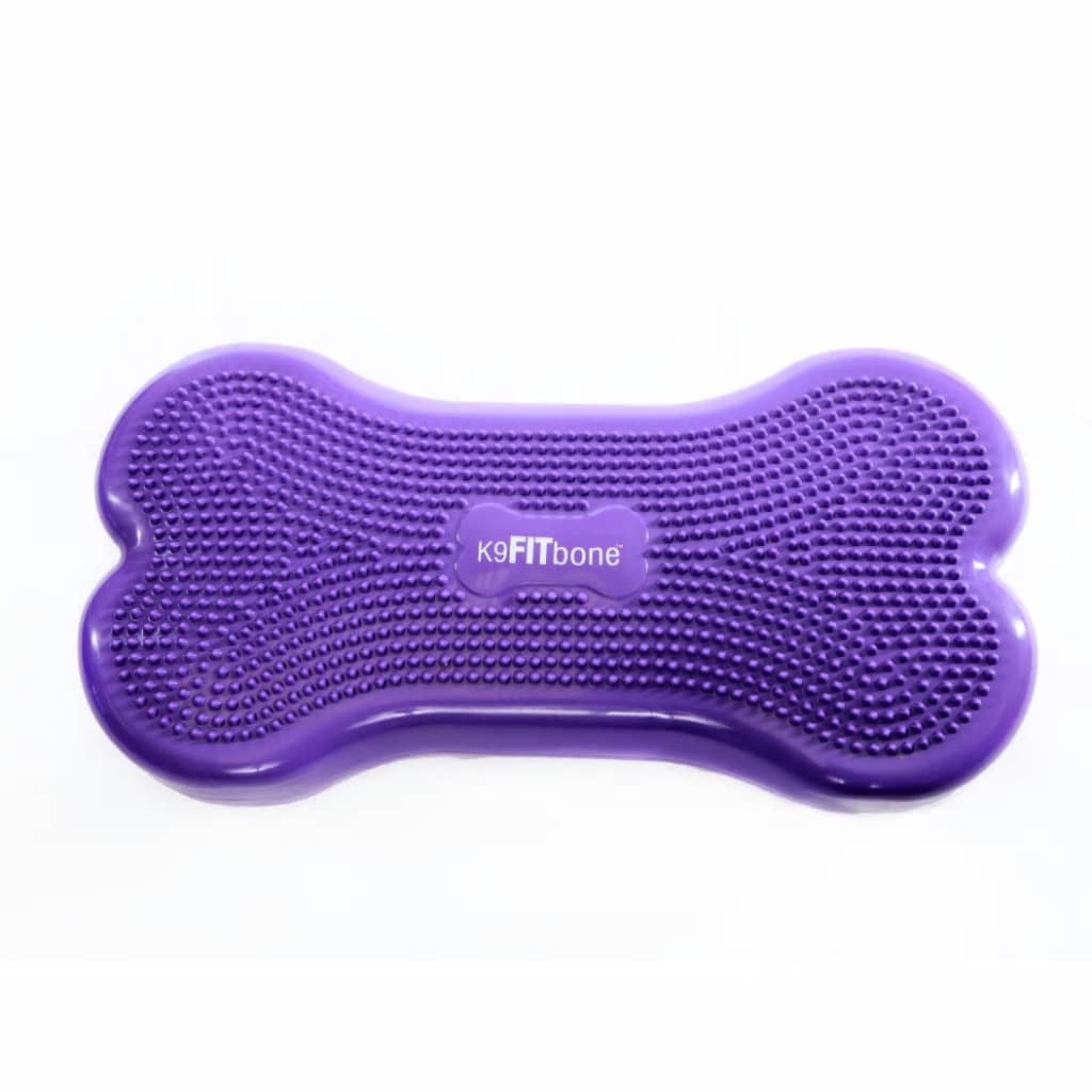 Fitpaws Balanční Platforma Pro Zvířata Giant K9Fitbone Pvc Aqua