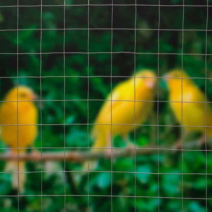 Nature Drátěné Pletivo Čtvercové 0,5 X 5 M Pozinkovaná Ocel Šedá