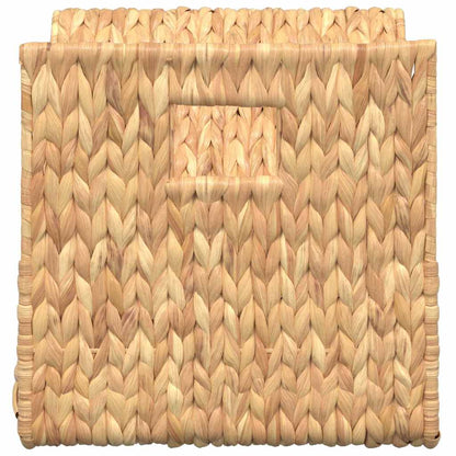 Stojan Na Časopisy 31 X 31 X 31 Cm Vodní Hyacint