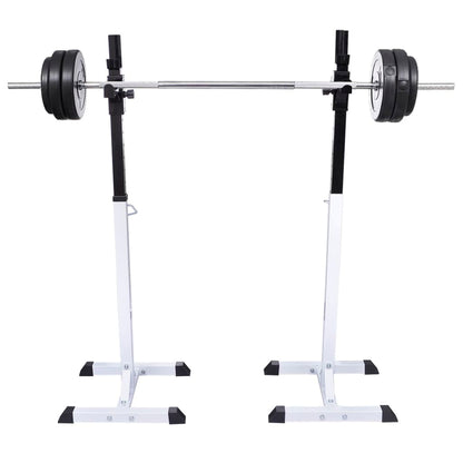 Posilovací Stojan Se Sadou Činek Barbell A Dumbbell 30,5 Kg