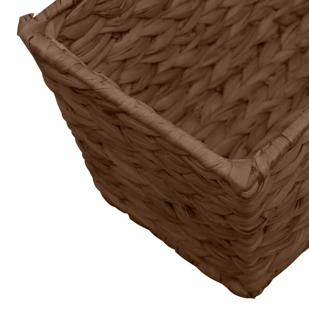 Truhlíky 2 Ks Vodní Hyacint Hnědé