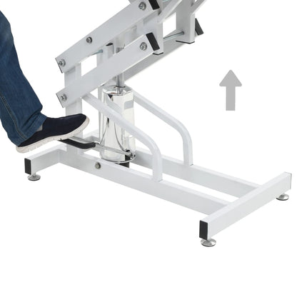 Hydraulický Stůl Na Úpravu Psů A Koček, Nastavitelný