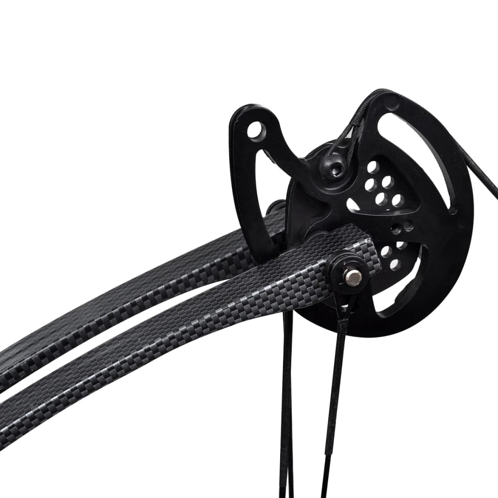 Kladkový Luk Pro Dospělé S Doplňky + Sklolaminátové Šípy