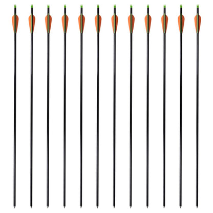 Standardní Šípy Ke Kladkovému Luku 30" 0,8 Cm Sklolaminát 12 Ks