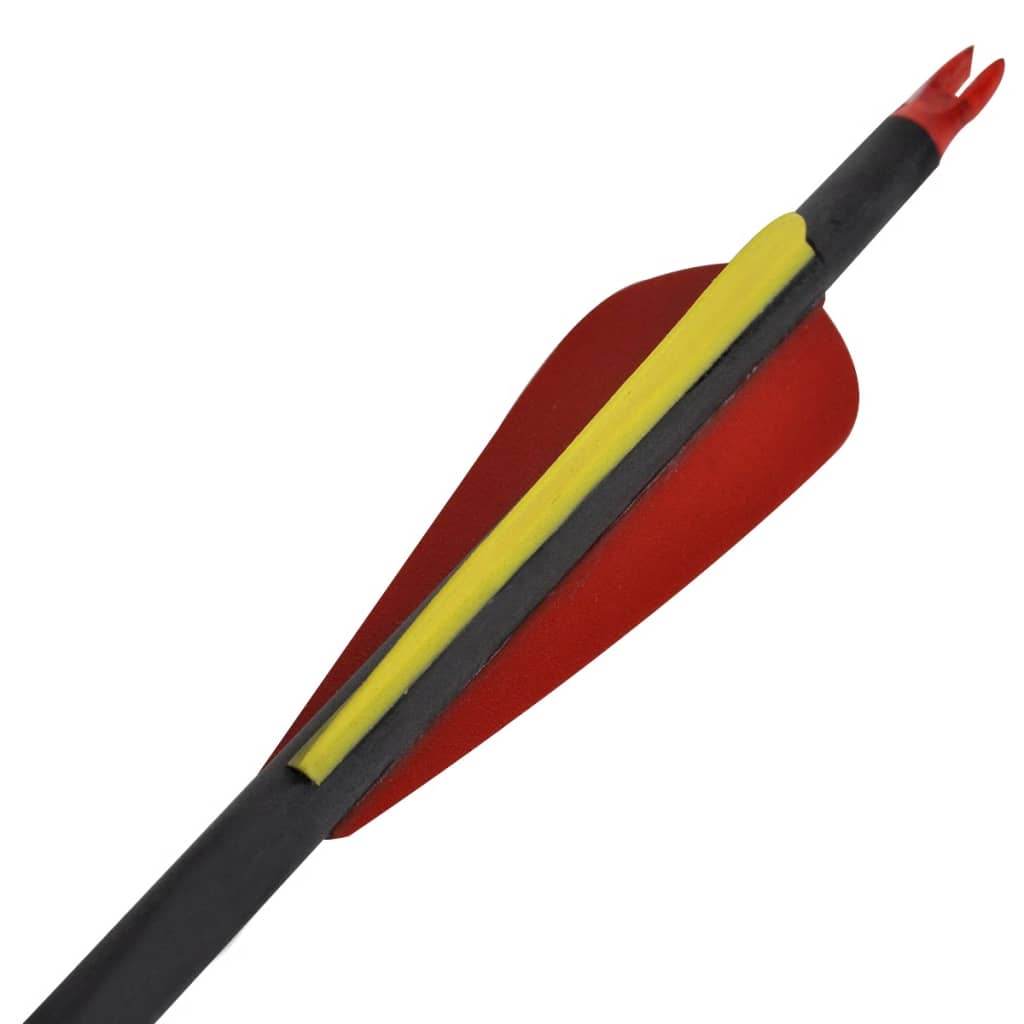 Standardní Šípy K Recurve Luku 30&quot; 0,76 Cm Karbon 12 Ks