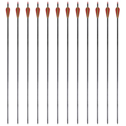 Standardní Šípy K Recurve Luku 30&quot; 0,76 Cm Karbon 12 Ks