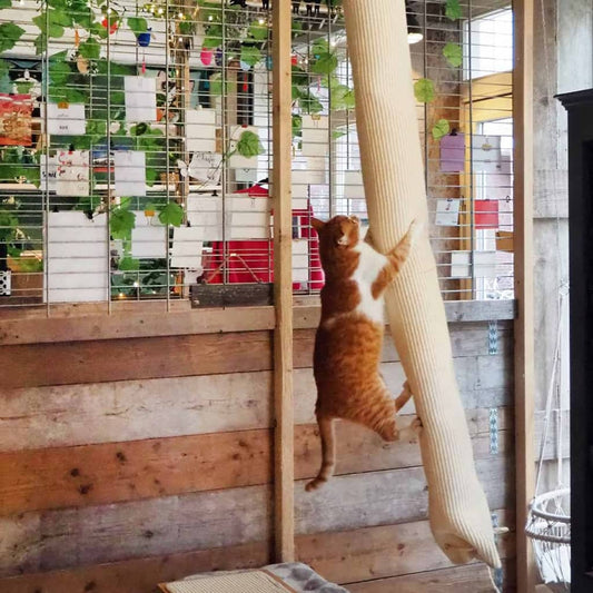 Quapas! Lezecký Pytel Pro Kočky Sisal 180 Cm