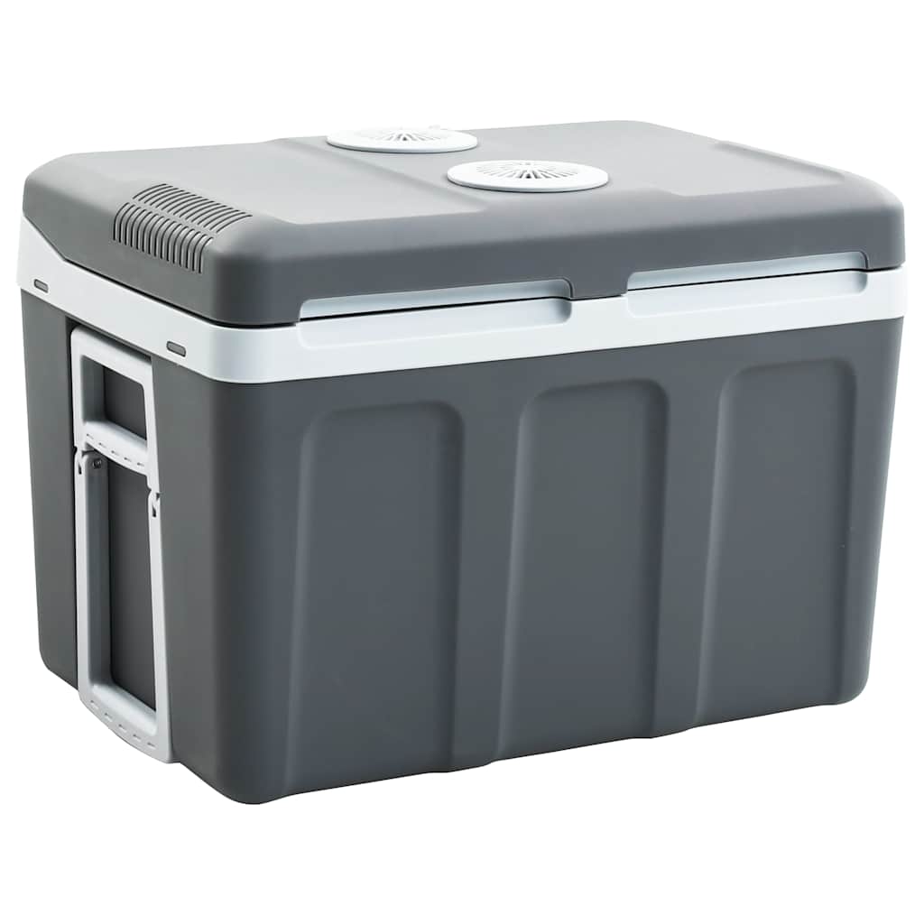 Přenosný Termoelektrický Chladicí Box 12 V 230 V E