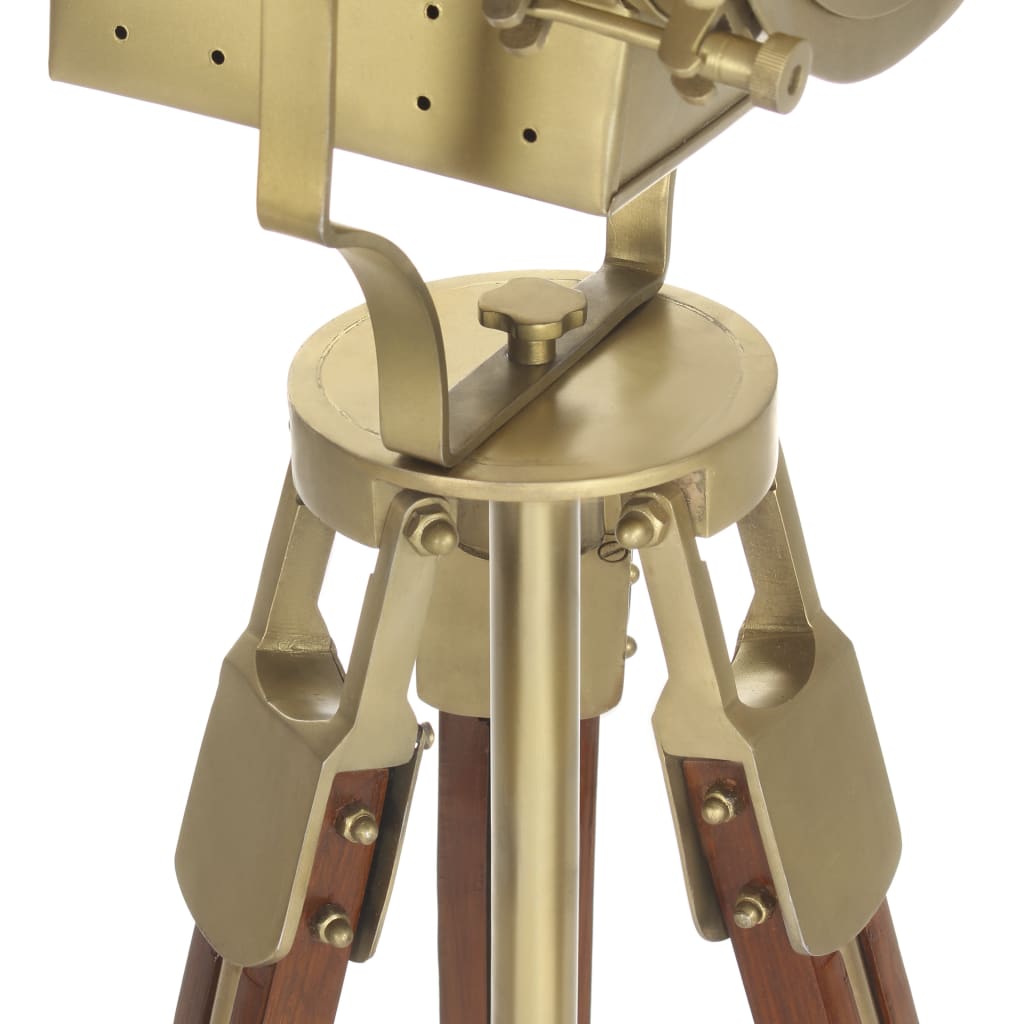 Stojací Lampa Na Stativu Masivní Mangovníkové Dřevo 193 Cm