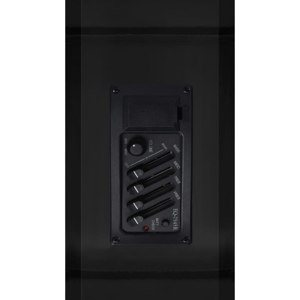 Folková Akustická Kytara S Výřezem Ekvalizér A 6 Strun Černá