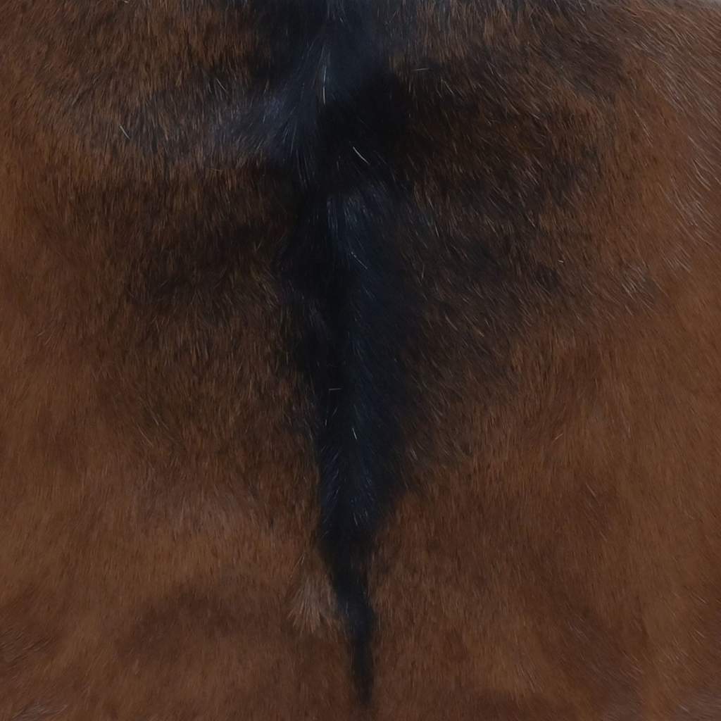 Skládací Stolička Pravá Kůže A Masivní Teak