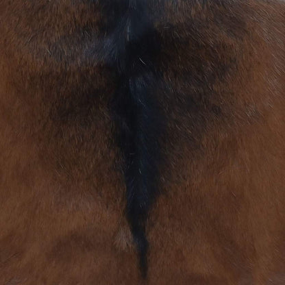 Skládací Stolička Pravá Kůže A Masivní Teak