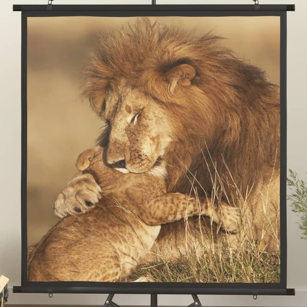 Projekční Plátno 90" 16 : 9