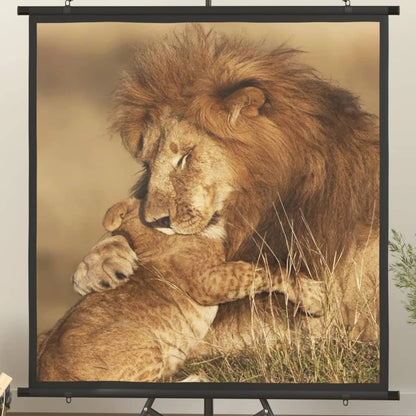 Projekční Plátno 90" 16 : 9