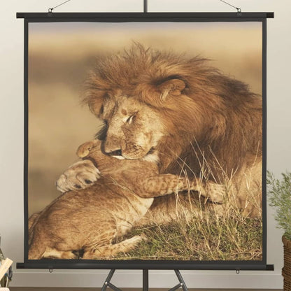 Projekční Plátno 90" 16 : 9