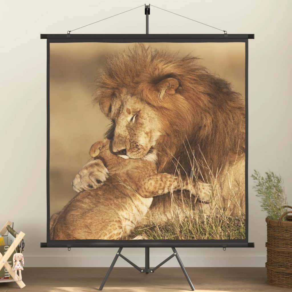 Projekční Plátno Se Stativem 72&quot; 4 : 3