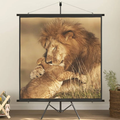 Projekční Plátno Se Stativem 72&quot; 4 : 3