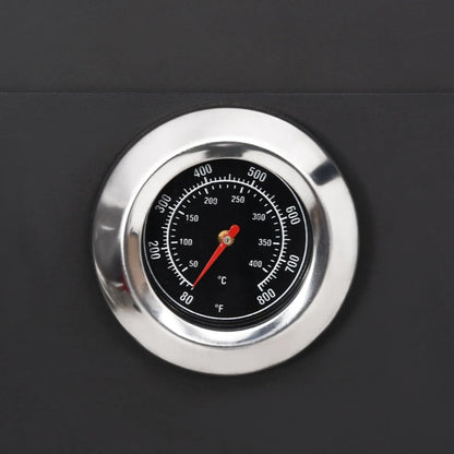 Venkovní Pec Na Pizzu Na Dřevěné Uhlí Se 2 Šamotovými Kameny