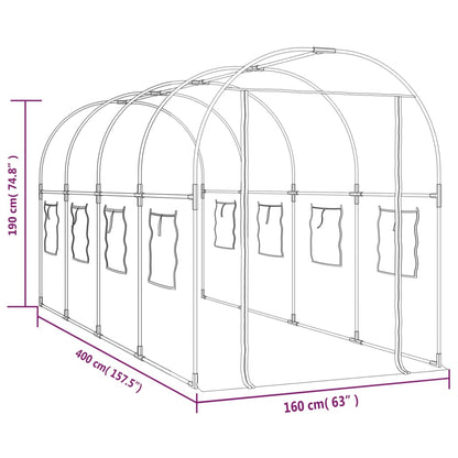 Skleník Průhledný 160 X 400 X 190 Cm Pvc Práškově Lakovaná Ocel