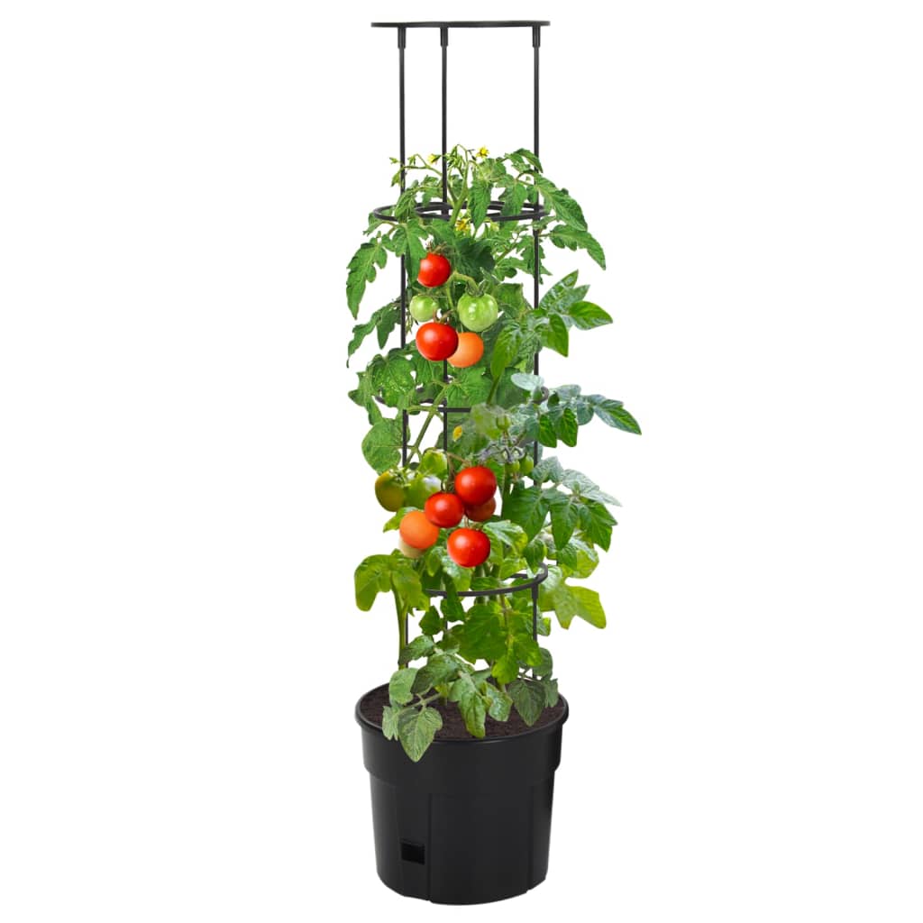 Truhlík Na Pěstování Rajčat Antracit Ø 29,5X115 Cm Polypropylen
