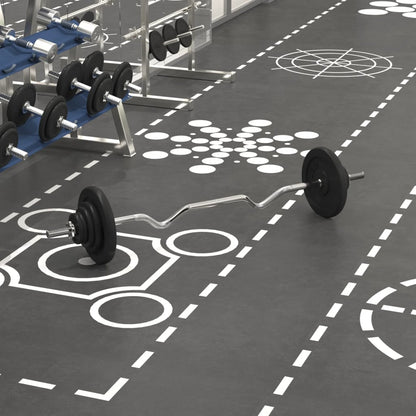 Obouruční Činka Se Závažím Litina A Chromovaná Ocel