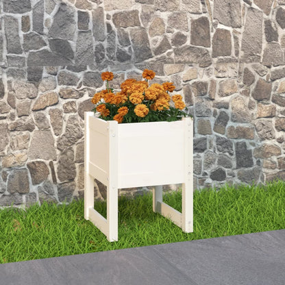 Truhlík Bílý 40 X 40 X 52,5 Cm Masivní Borové Dřevo Bílá