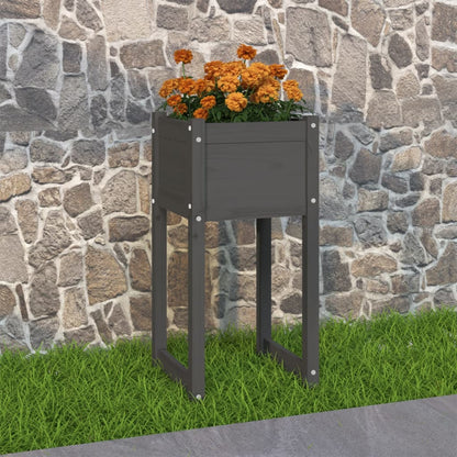 Truhlík Šedý 40 X 40 X 52,5 Cm Masivní Borové Dřevo Šedá