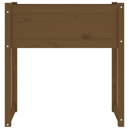 Truhlík Medově Hnědý 78X40X81 Cm Masivní Borové Dřevo