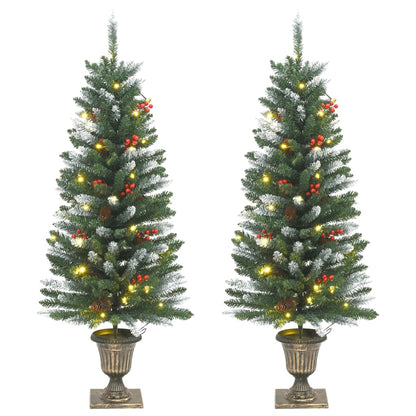 Umělé Vánoční Stromky 2 Ks 100 Led Diod Zelené A Bílé 120 Cm