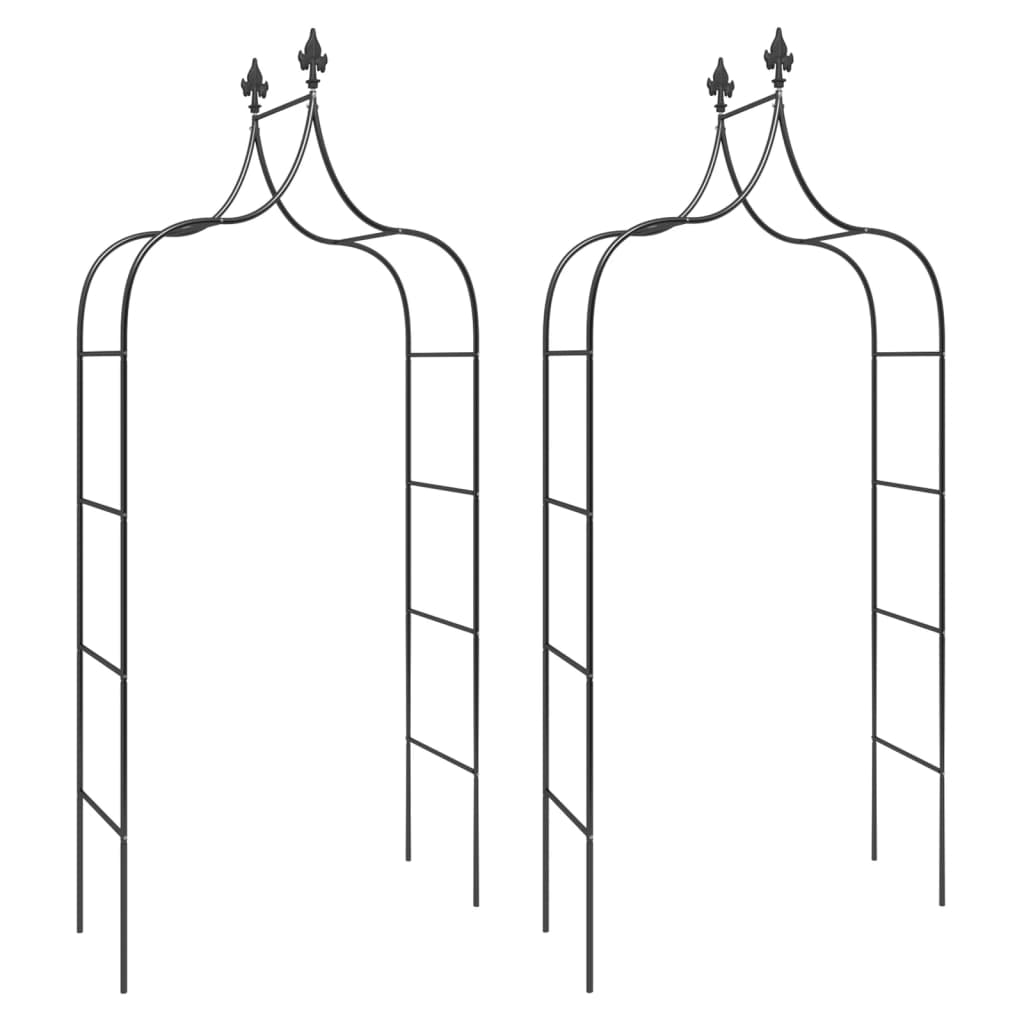 Zahradní Oblouky 2 Ks Černé 120 X 38 X 260 Cm Ocel Zelená