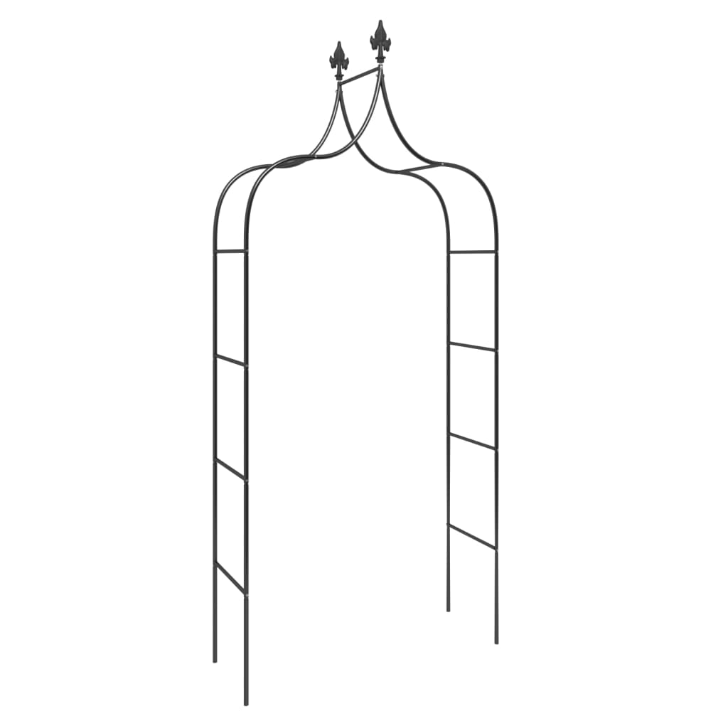 Zahradní Oblouky 2 Ks Černé 120 X 38 X 260 Cm Ocel Zelená