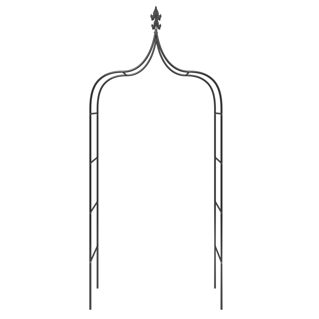 Zahradní Oblouky 2 Ks Černé 120 X 38 X 260 Cm Ocel Zelená