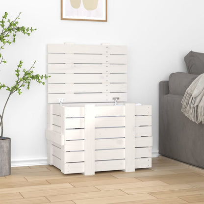 Úložný Box Šedý 58 X 40,5 X 42 Cm Masivní Borové Dřevo